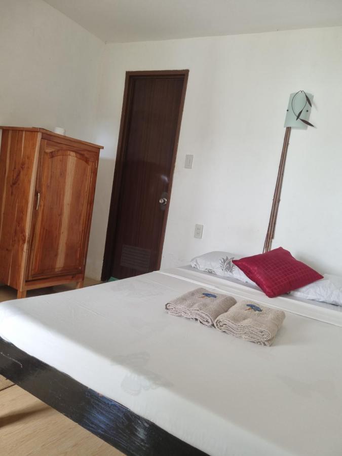 Southpoint Hostel Moalboal Exterior foto